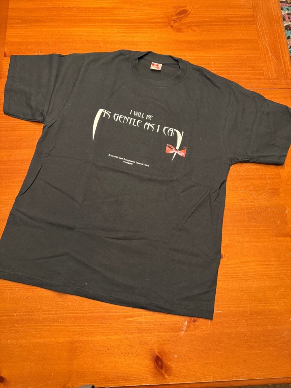 Unbranded Black Graphic Short-Sleeve Tee - 'I Will Be As Gentle As I Can'